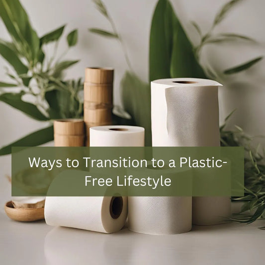 Hassle-Free Ways to Transition to a Plastic-Free Lifestyle