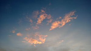 Unveiling the Ripple Effect: Bamboo Toilet Paper and Tackling Marine Pollution