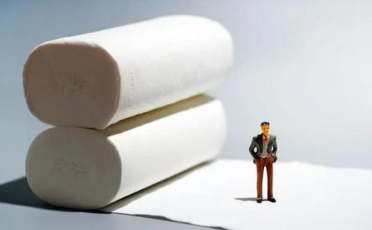 A Brief History of Toilet Paper: A Textbook Case of Consumerism