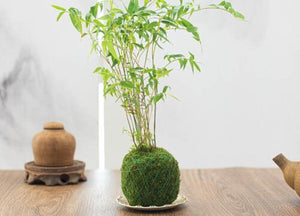 Where Are We Manufactured ？