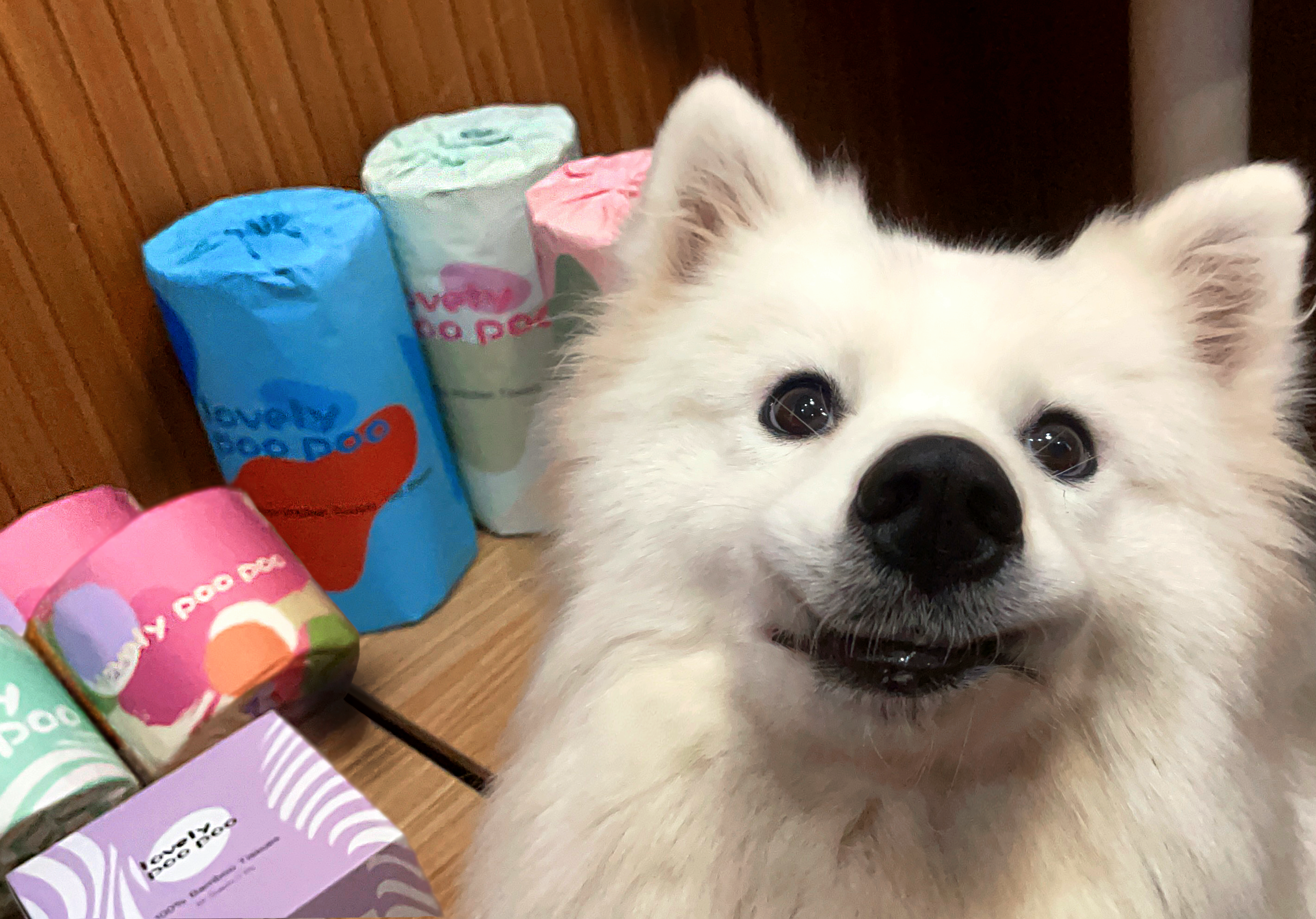 Why Bamboo Toilet Paper Is the Eco-Friendly Choice?