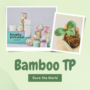 How To Choose Safe TP?