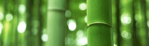 Lovelypoopoo bamboo pulp toilet paper makes the earth more beautiful