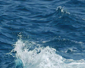 Sailing Towards a Cleaner Future: Understanding Marine Pollution