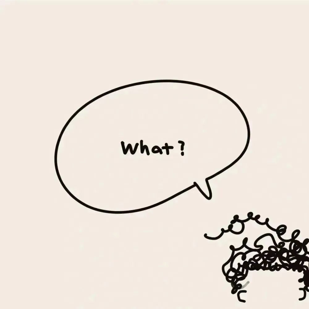 What ? -----Toilet Paper Original