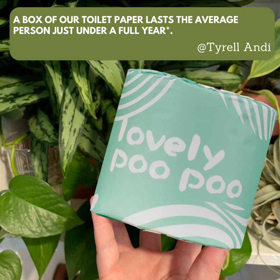 The Interesting and Little-Known History of Paper Towels - Lovely Poo Poo