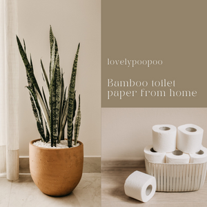 Bamboo toilet paper from home with one click