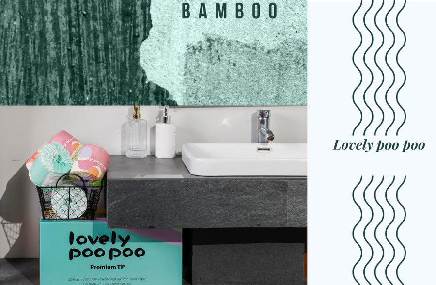 Best Eco-friendly Toilet Paper in 2021-Bamboo Toilet Paper - Lovely Poo Poo