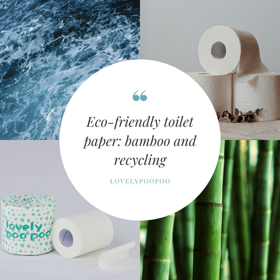Eco-friendly toilet paper: bamboo and recycling