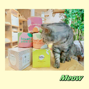 A Bamboozling Adventure: From Forest to Bathroom