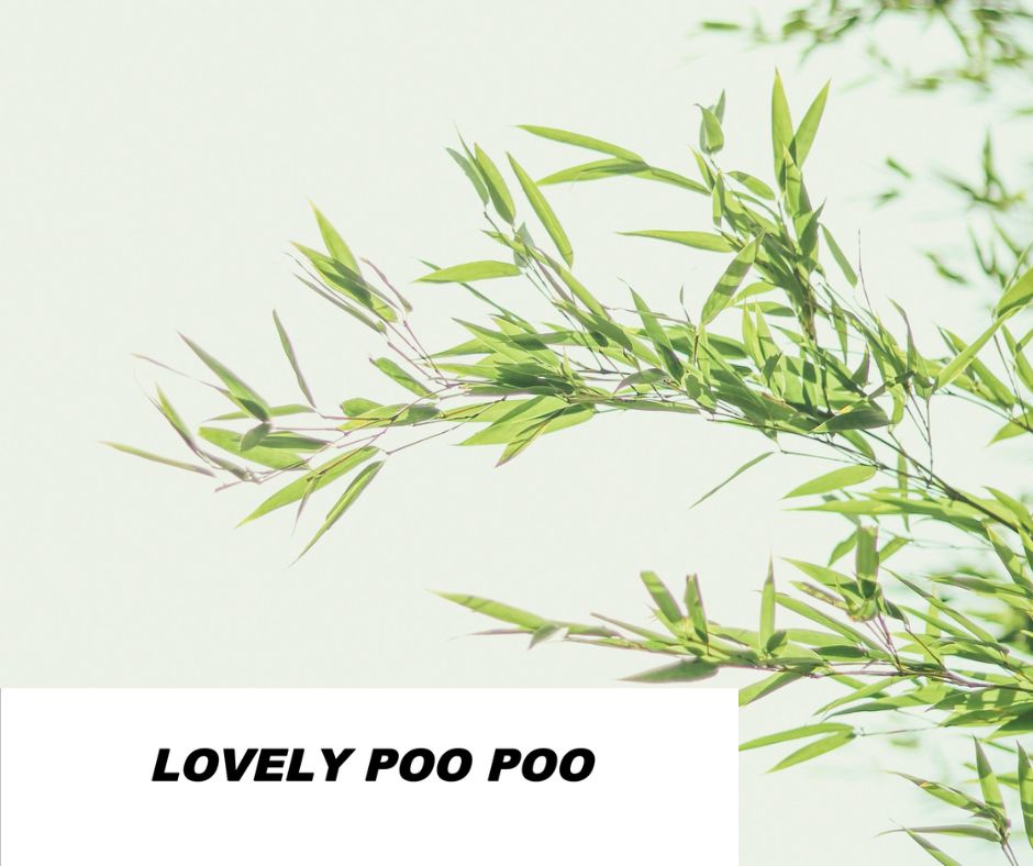 4W---Reply From Lovely Poo Poo