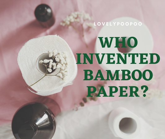 Who invented bamboo paper? - Lovely Poo Poo