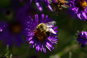 Sustainable Choices: Unveiling the Journey of Bamboo Toilet Paper Production