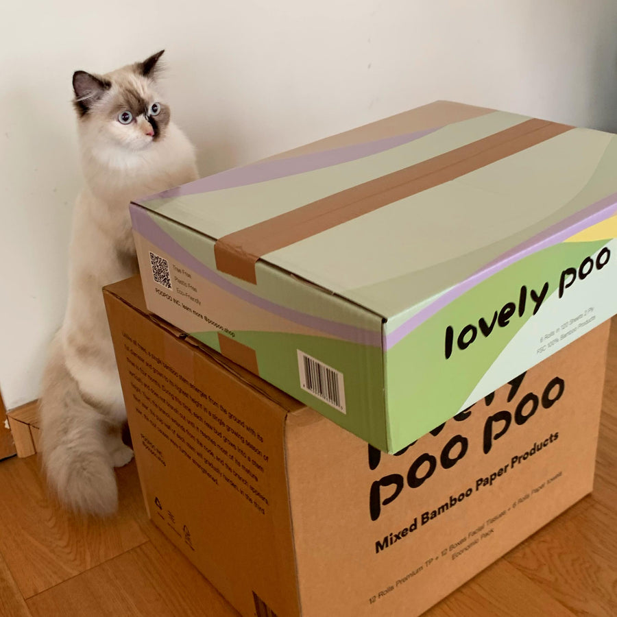 The Most Eco-Friendly Toilet Paper--Bamboo Toilet Paper - Lovely Poo Poo