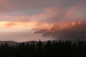 The Ultimate Guide to Embracing Biodiversity