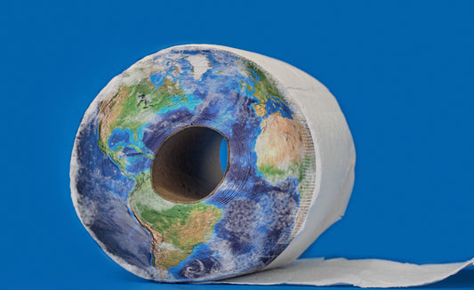 What is the best toilet paper to use? Bamboo toilet paper is the best option!