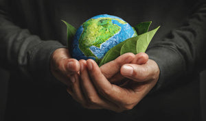 Is Organic Bamboo Toilet Paper Really Better for the Environment?