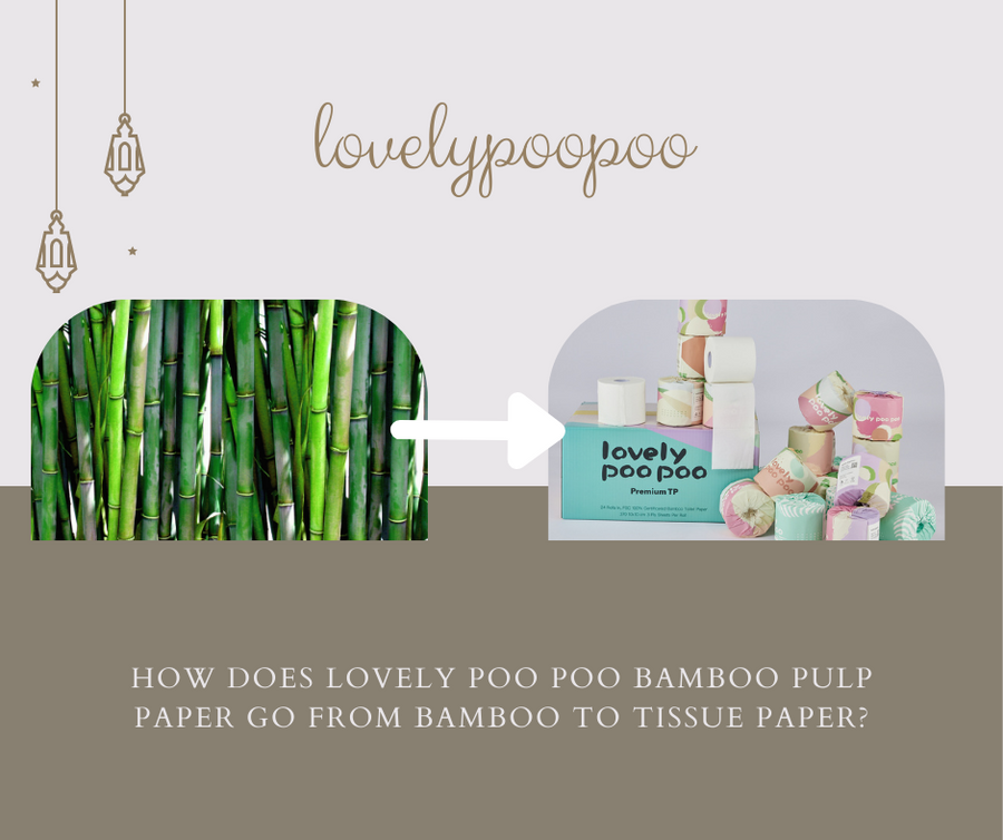 How does lovely poo poo bamboo pulp paper go from bamboo to tissue paper? - Lovely Poo Poo