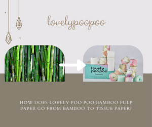 How does lovely poo poo bamboo pulp paper go from bamboo to tissue paper?