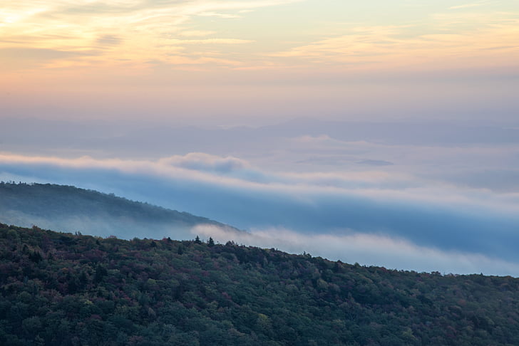 Embracing Sustainability: Bamboo Toilet Paper and Its Impact on the Environment