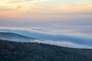 Embracing Sustainability: Bamboo Toilet Paper and Its Impact on the Environment